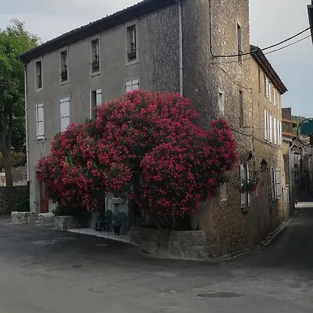 Chez Shona * Lagrasse